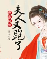 市长夫人又跑了